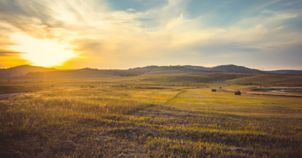 Daur Steppe near Poyarkovo