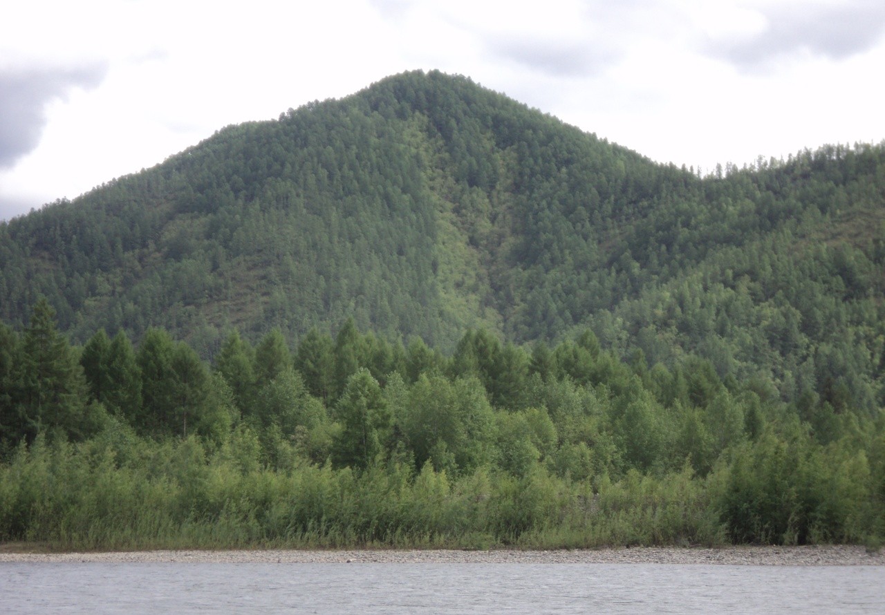 Долина реки Селемджа — 3