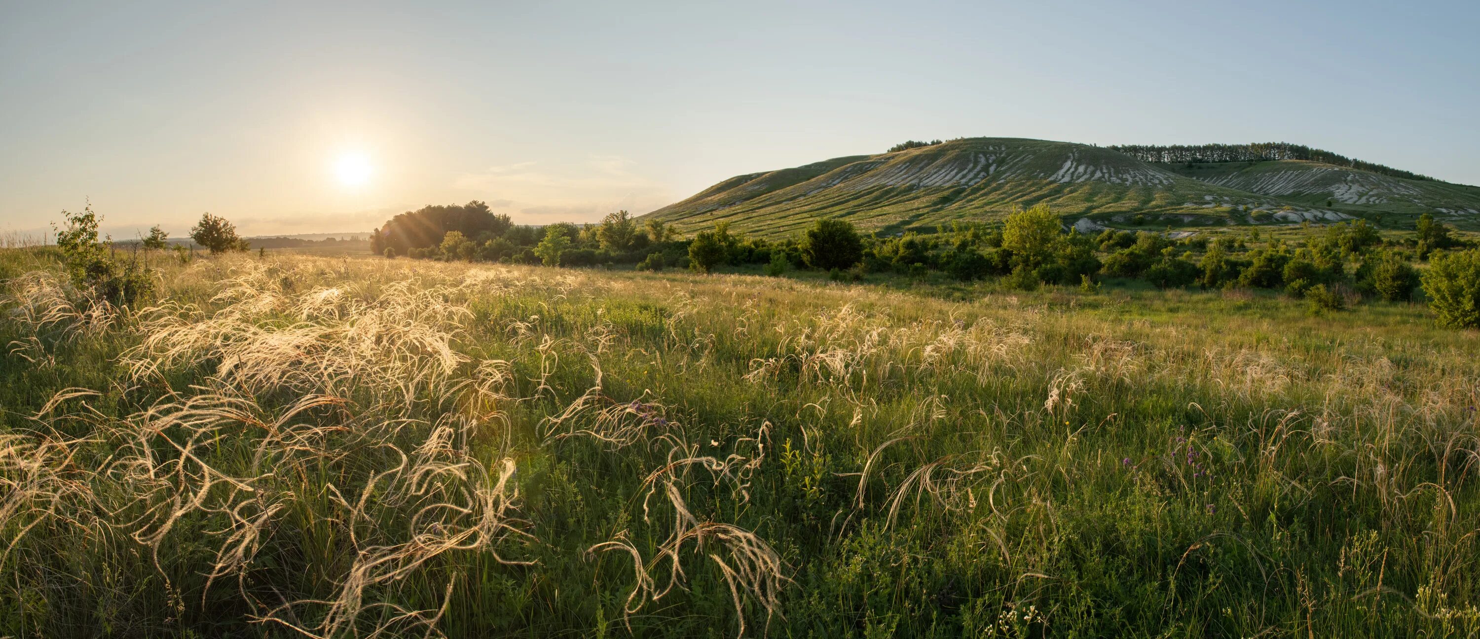 Stenki Izgoriya Reserve — 2