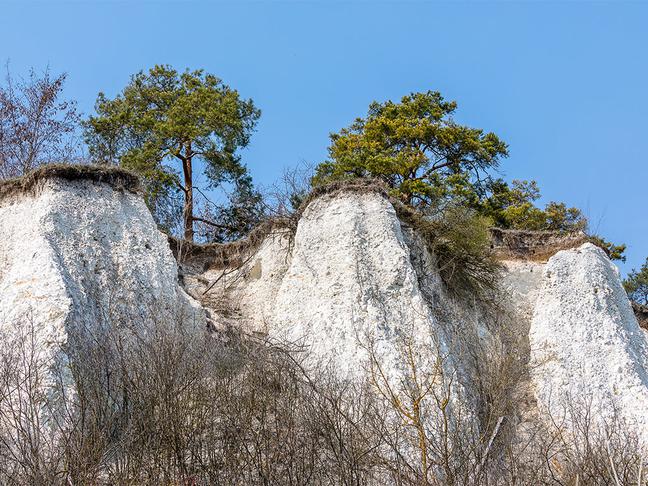 Tomarovka Chalk Cliffs — 2