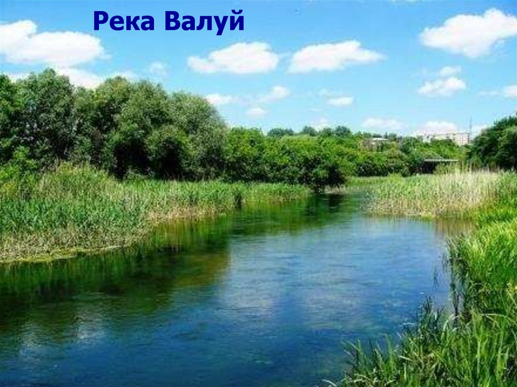 Долина реки Валуй — 2