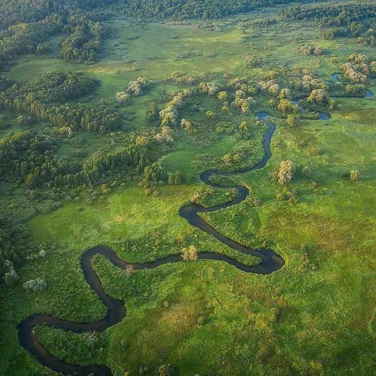 Navlya River Valley
