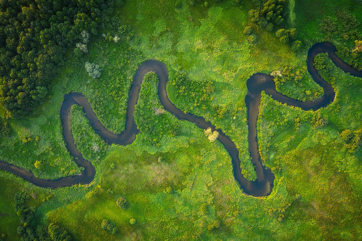 Navlya River Valley — 2