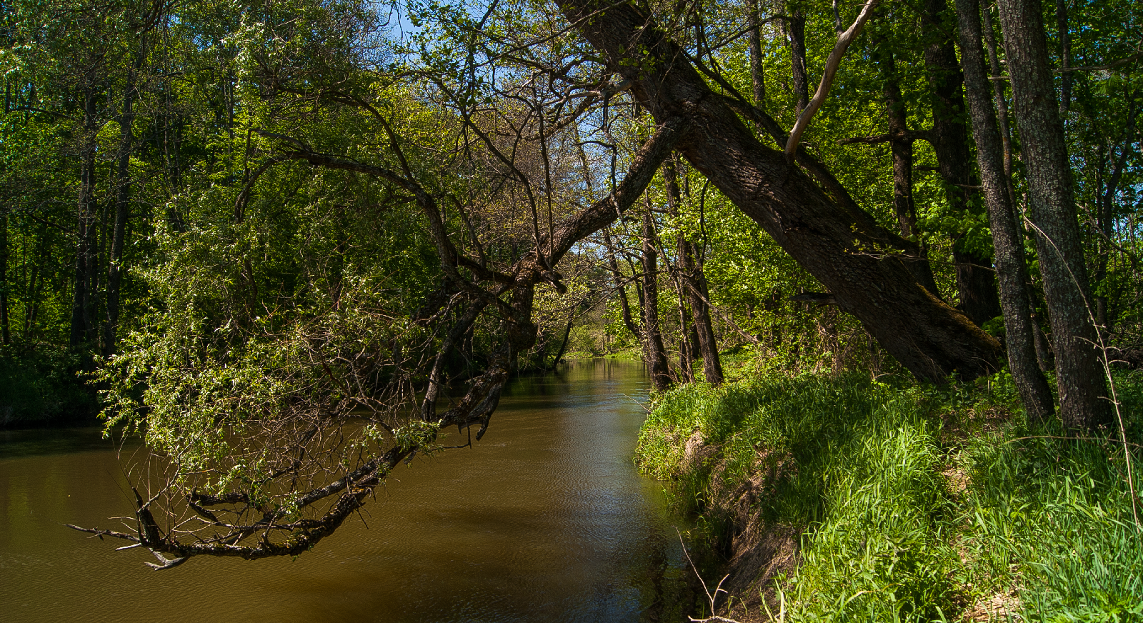 Navlya River Valley — 3