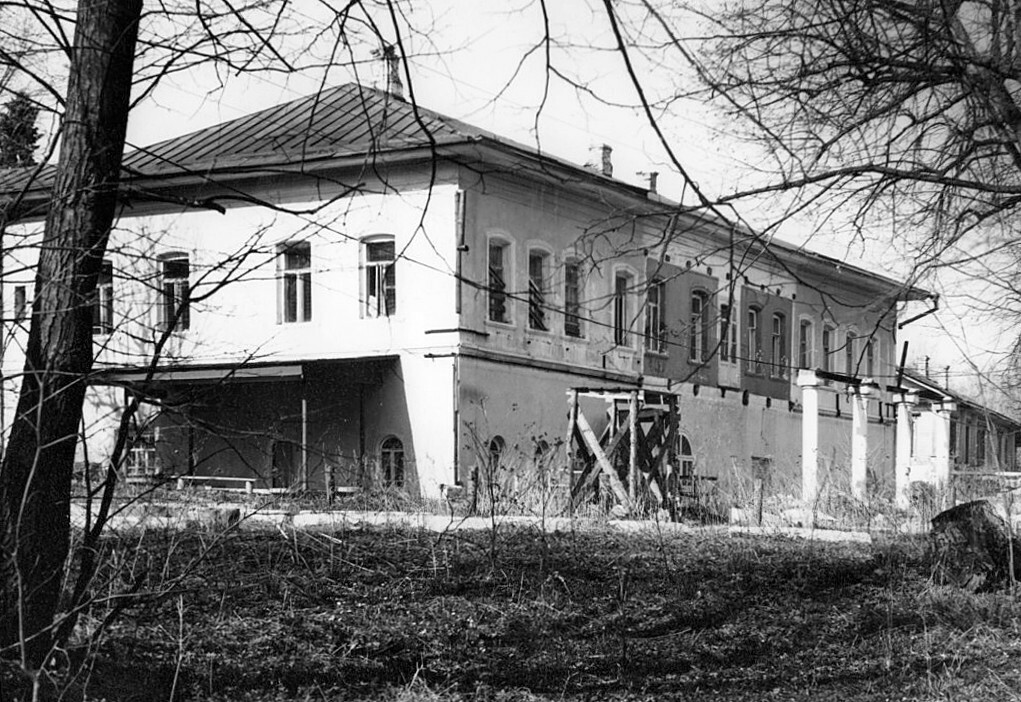 Kozlovsky Estate (Borshchevka) — 3