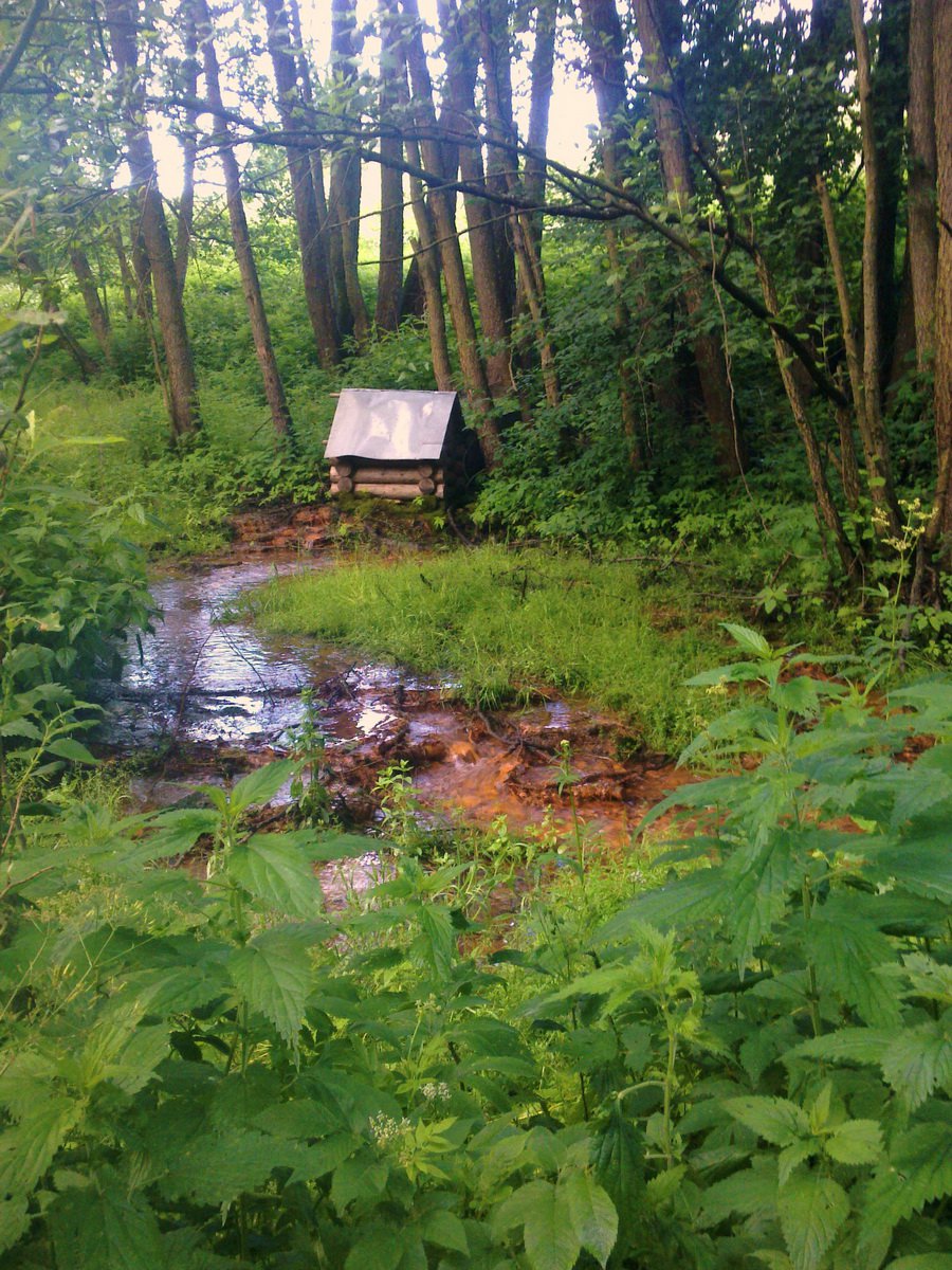 Sukhinichi Mineral Springs — 2