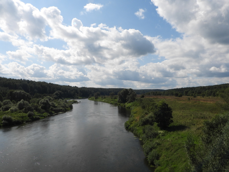 Ugra National Park — 2