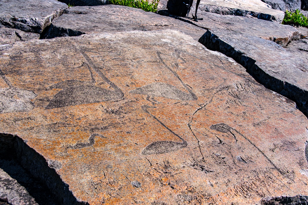 Belomorsk Petroglyphs — 3