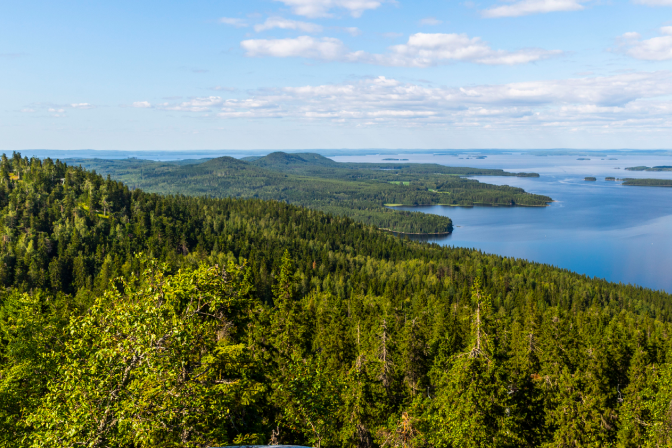 Vodlozero Lake Shore — 3