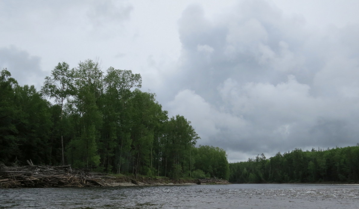 Amgun River Shore — 3