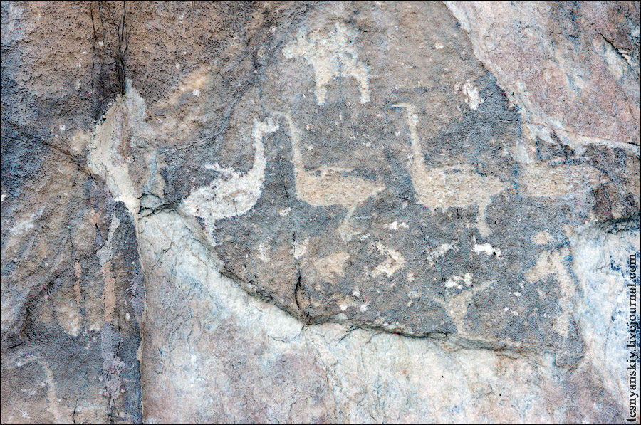 Anyui River Petroglyphs — 3