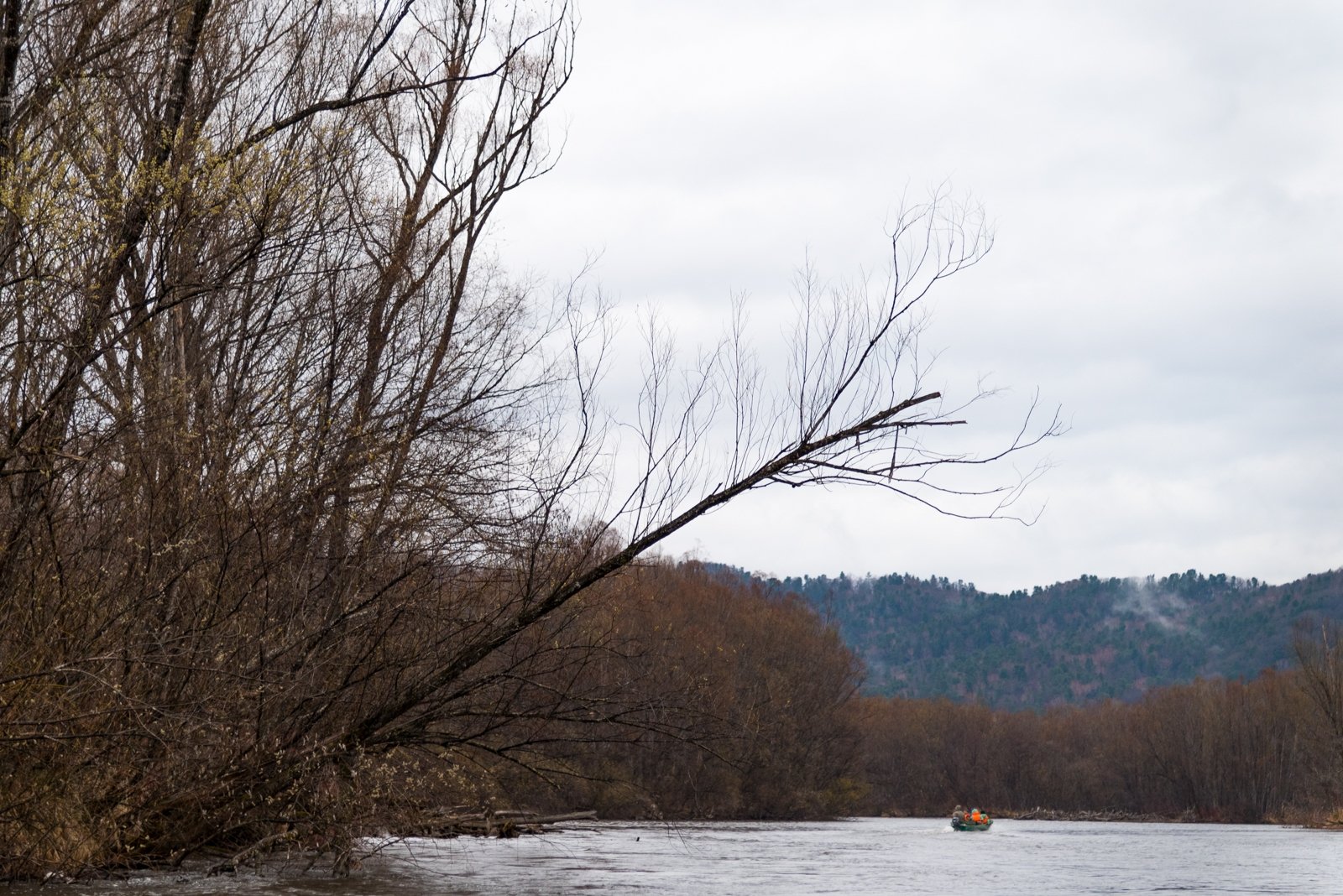 Bikin River Valley — 2