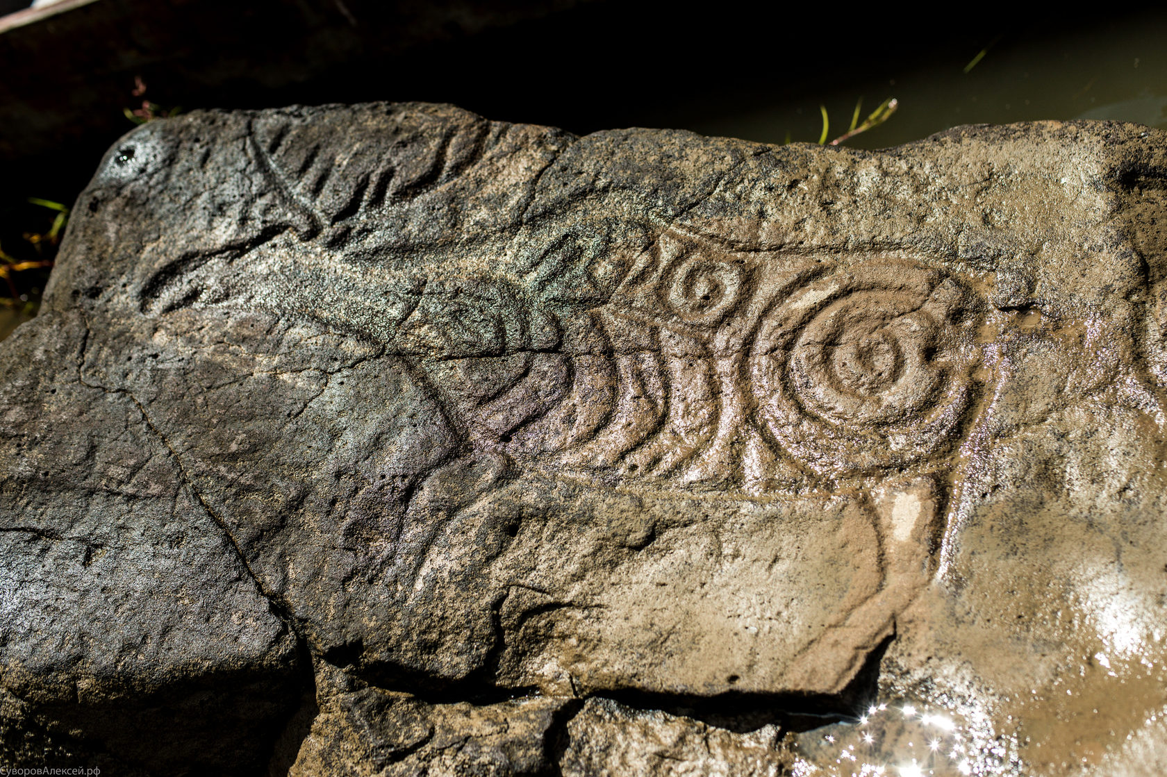 Sikachi-Alyan Petroglyphs