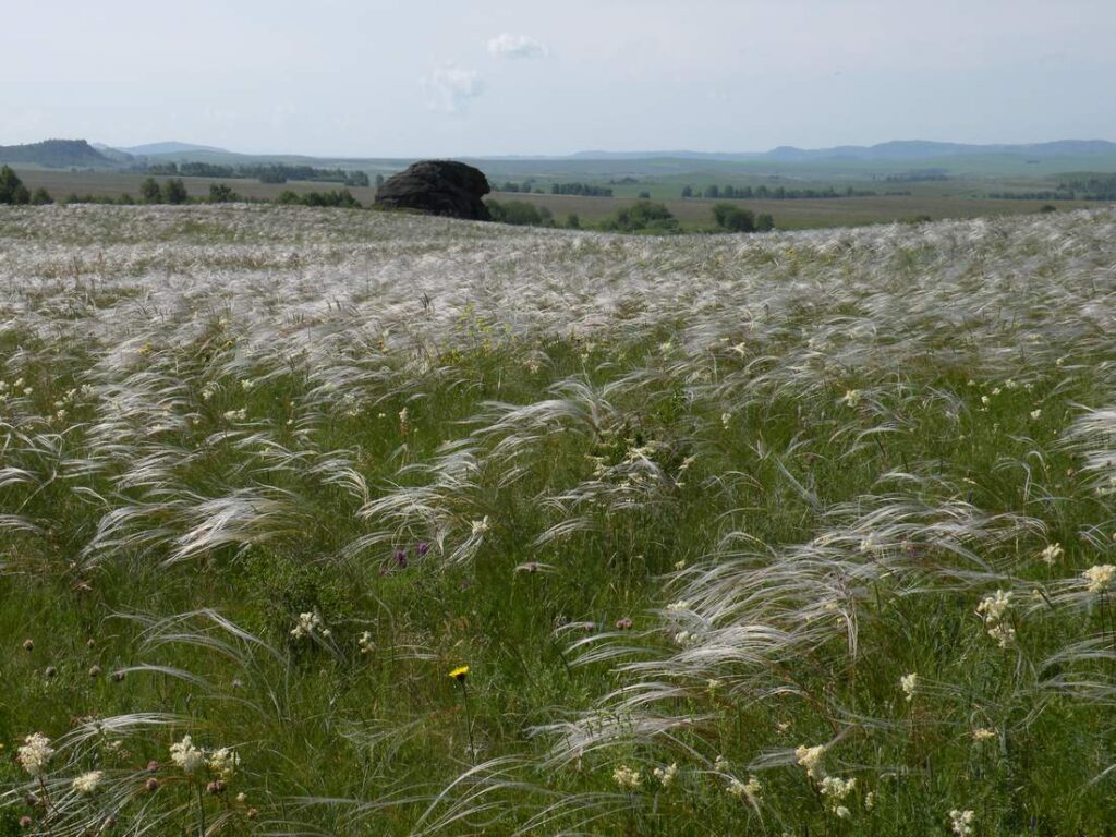 Askiz Steppe — 2