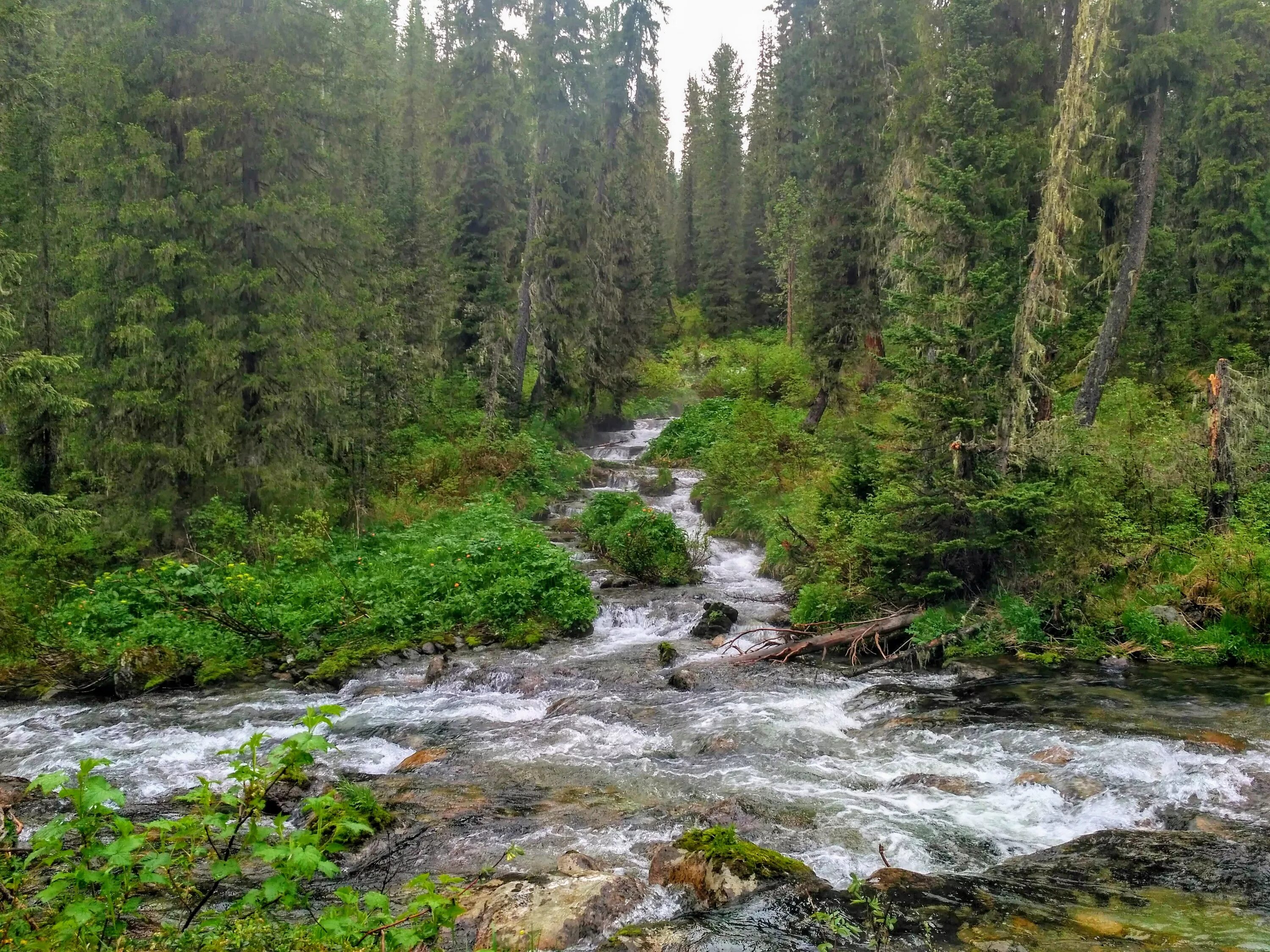 Uibat River Valley — 2