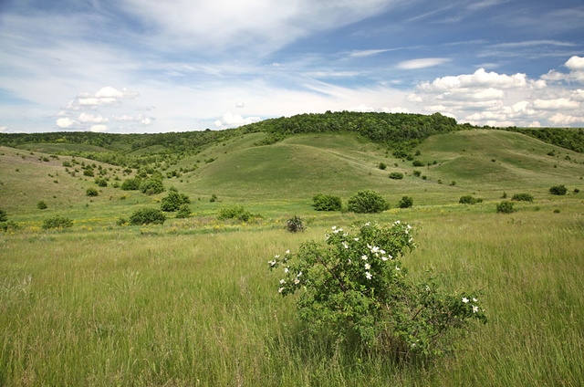 Букреевы Бармы — 2