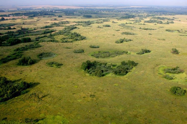 Zoryinsky Bogs