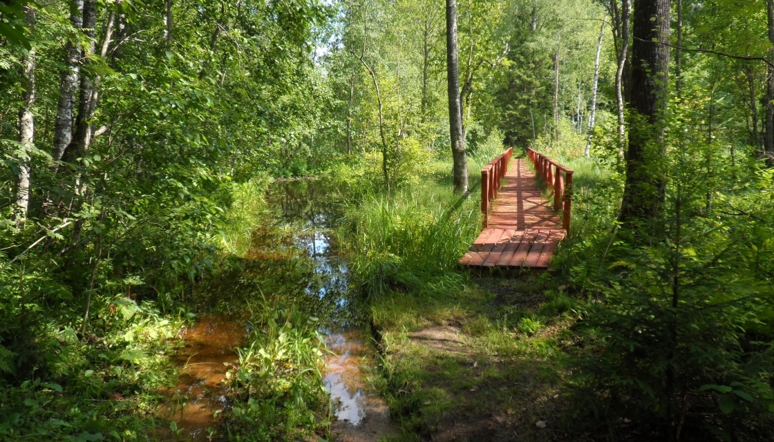Valday National Park — 2