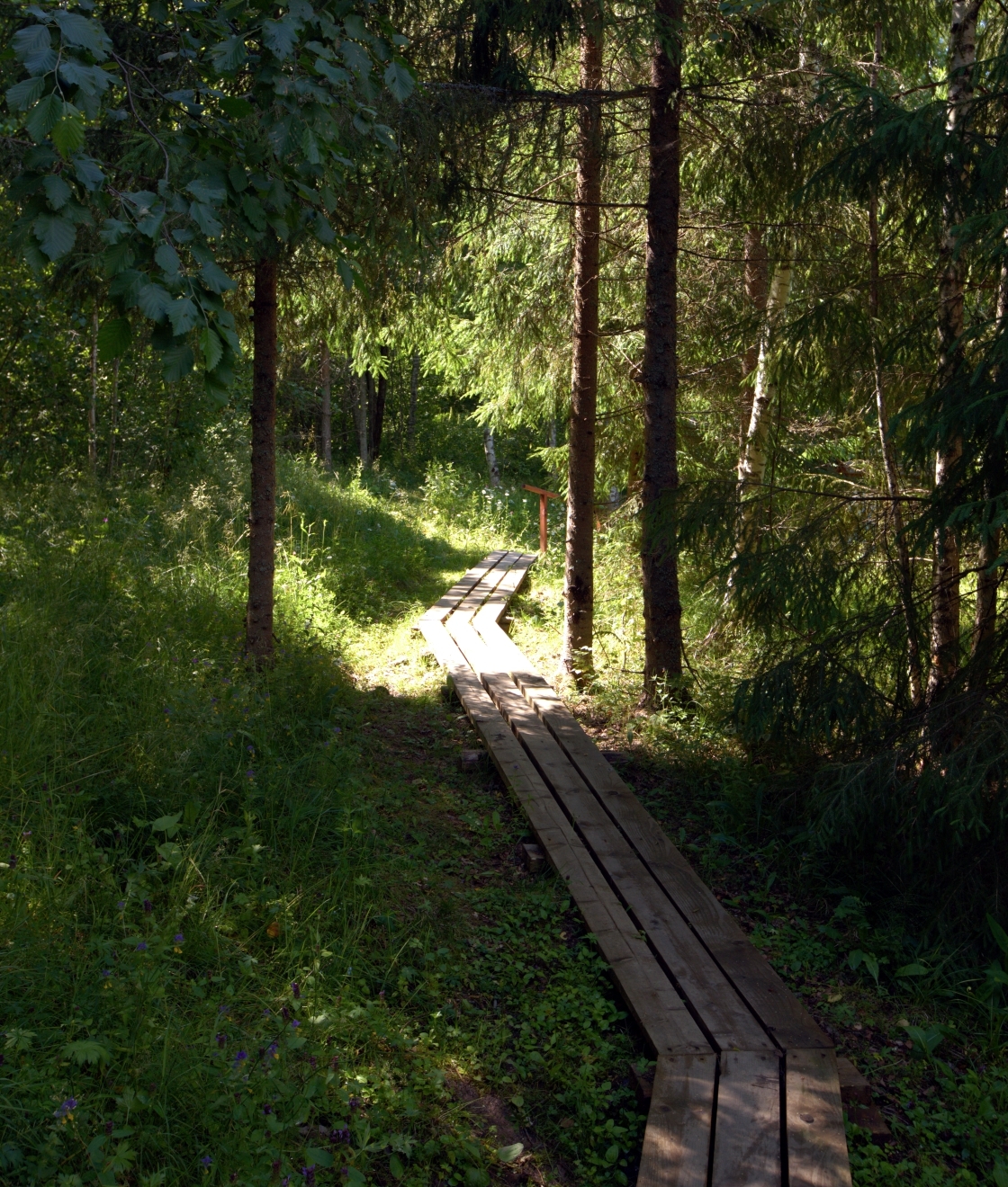 Valday National Park — 3