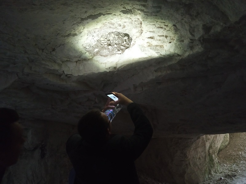 Naryshkin-Turgenev Caves (Bolkhov)