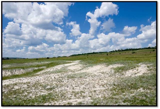 Chalk Hills (Maloarkhangelsk)