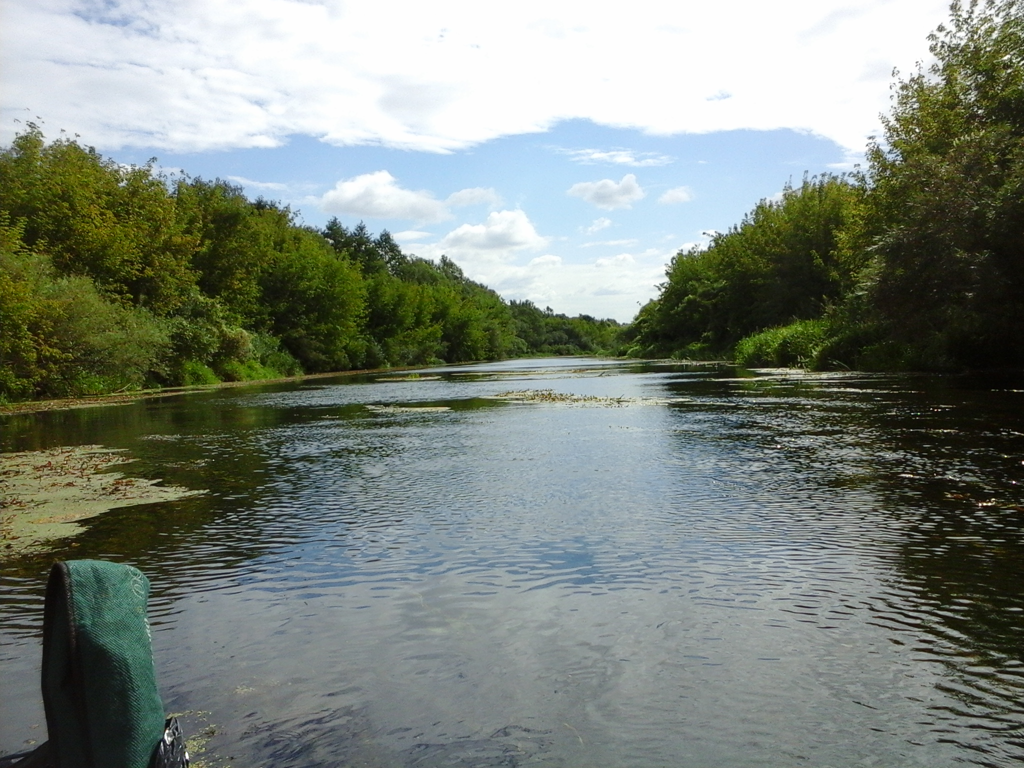 Oka Valley Cut (Zalegosh)