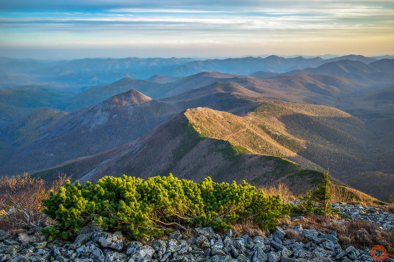Central Sikhote-Alin — 2