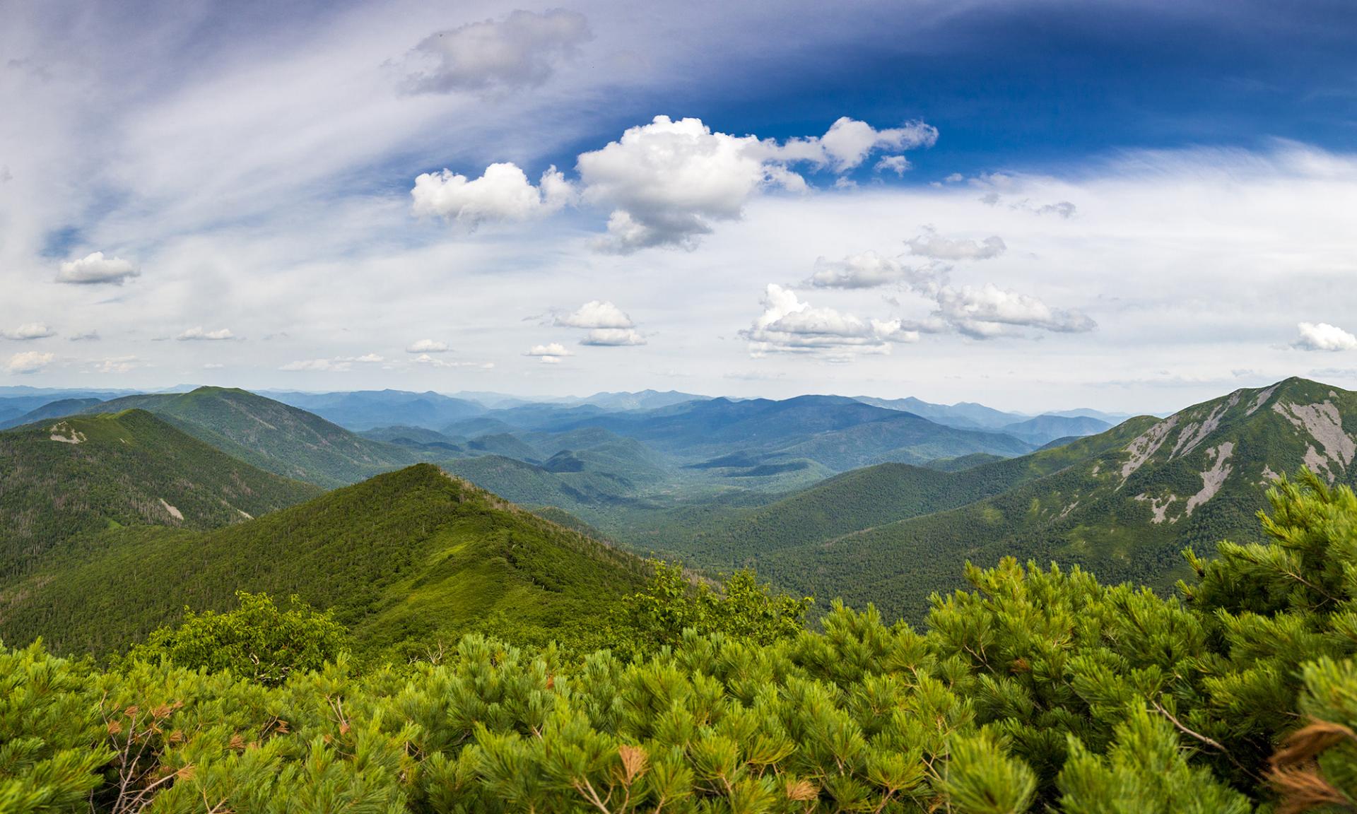 Central Sikhote-Alin — 3