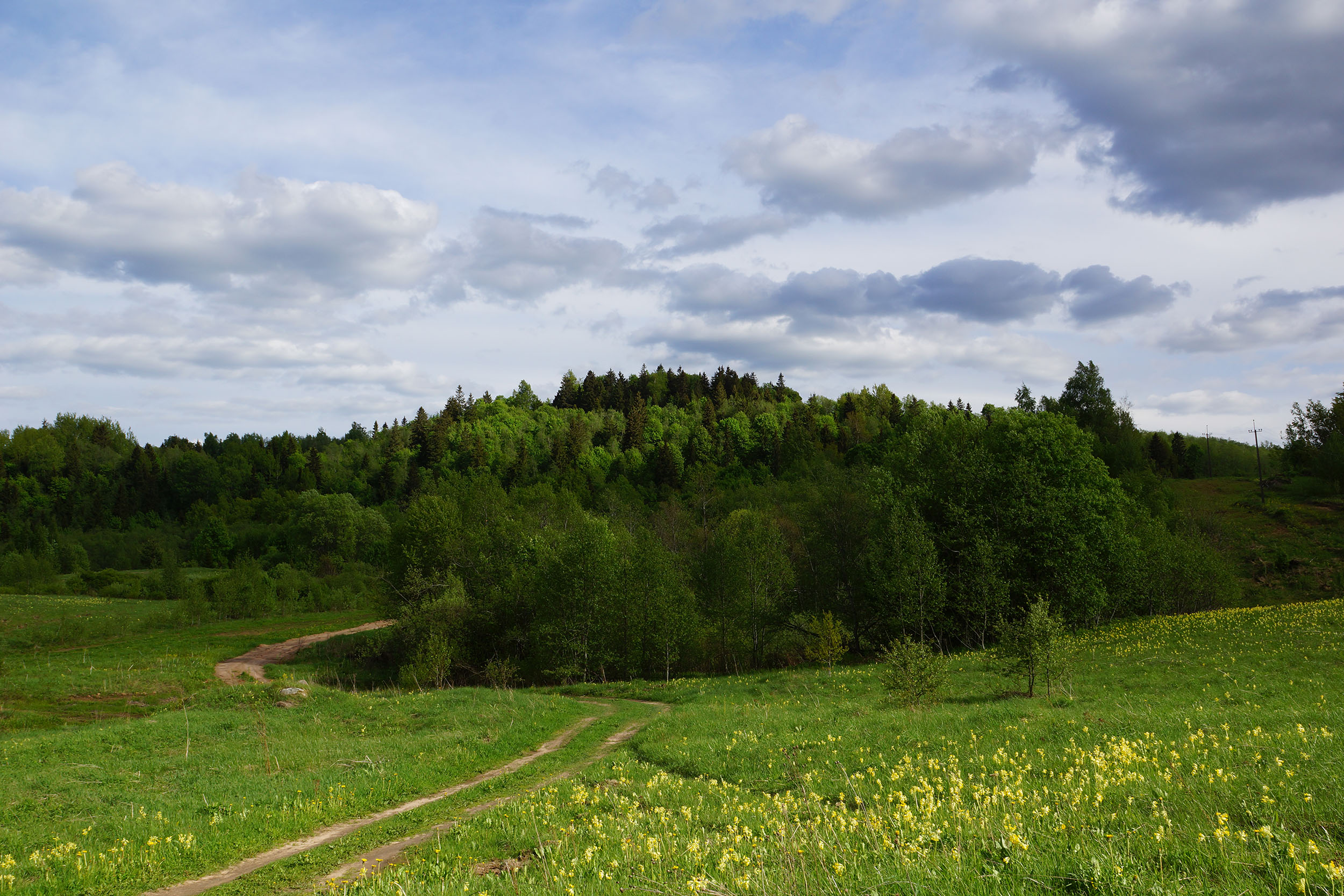 Bezhanitsy Hills — 3