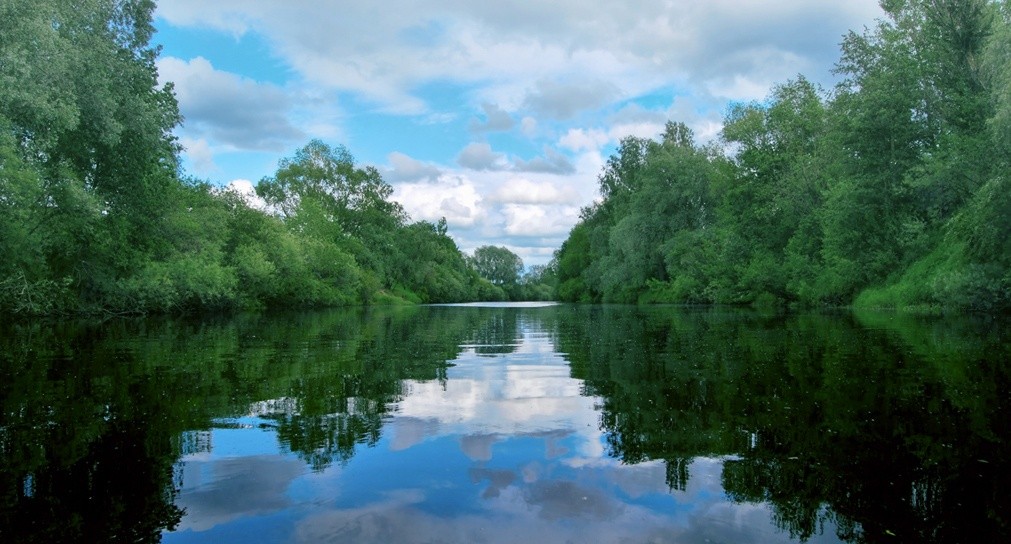Shelon River Valley — 2