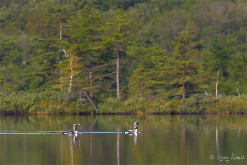 Northwest Sakhalin Small Lakes Wetland