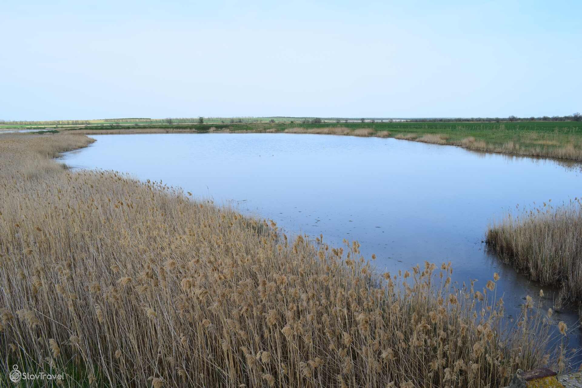 Ptichye Lake — 2