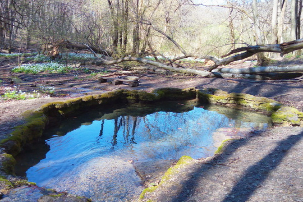 Russkaya Lesnaya Dacha Travertine Spring