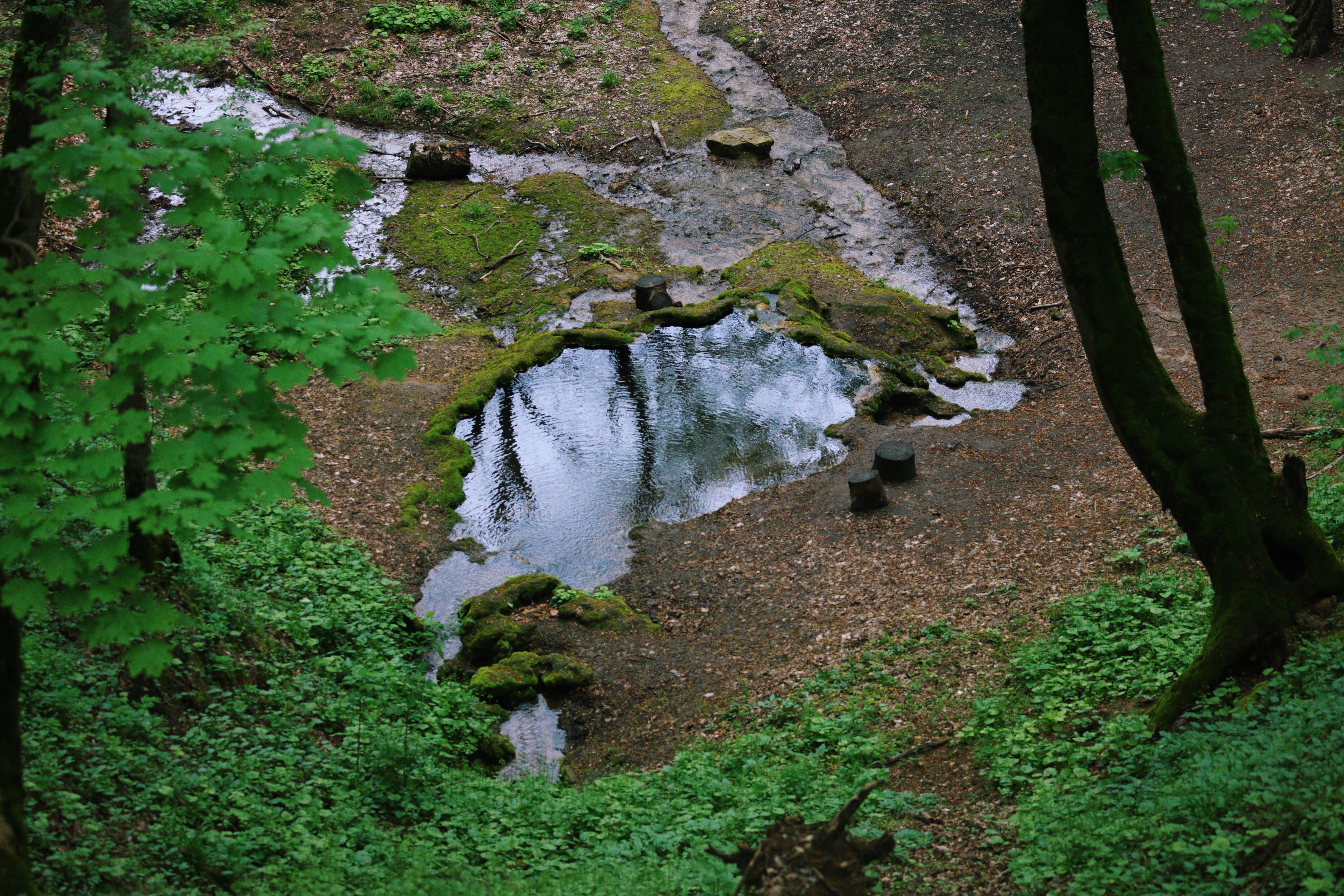 Russkaya Lesnaya Dacha Travertine Spring — 3