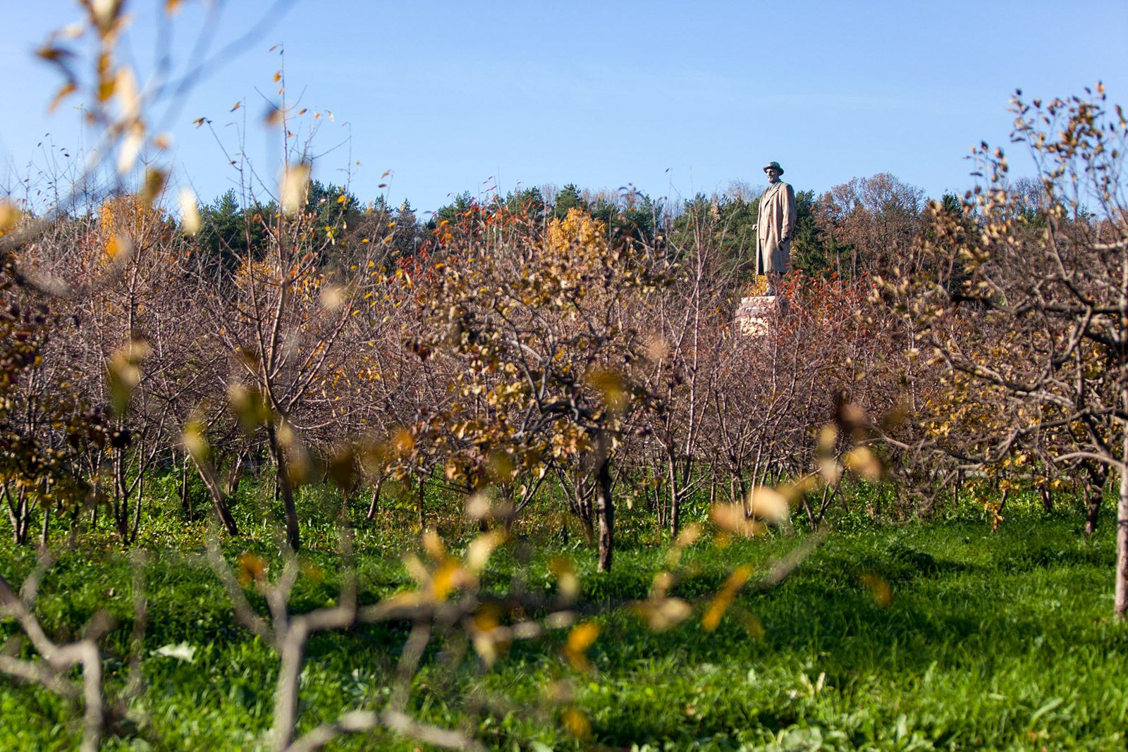 Michurinsk Botanical Garden — 2