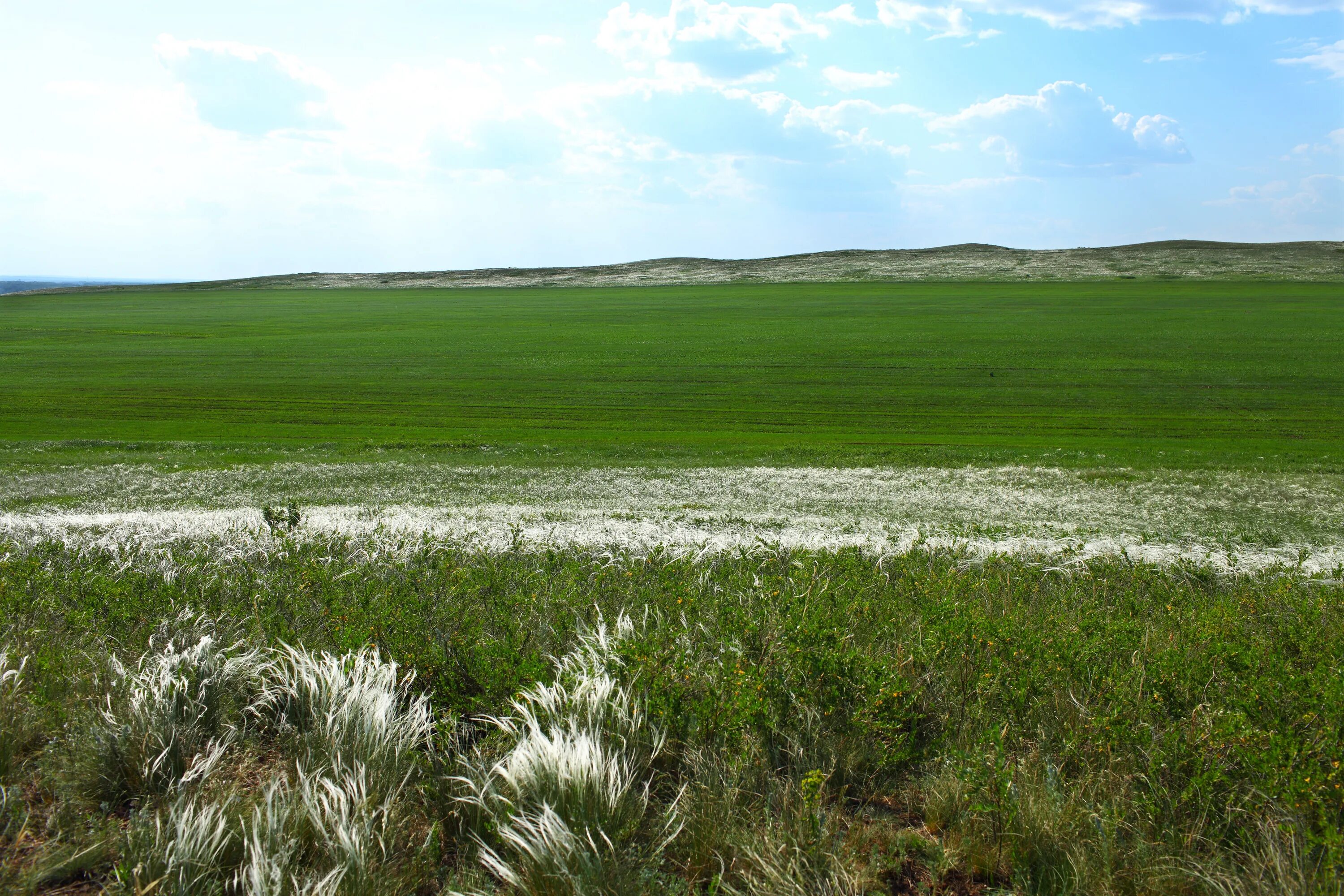 Platonovka Steppe Reserve