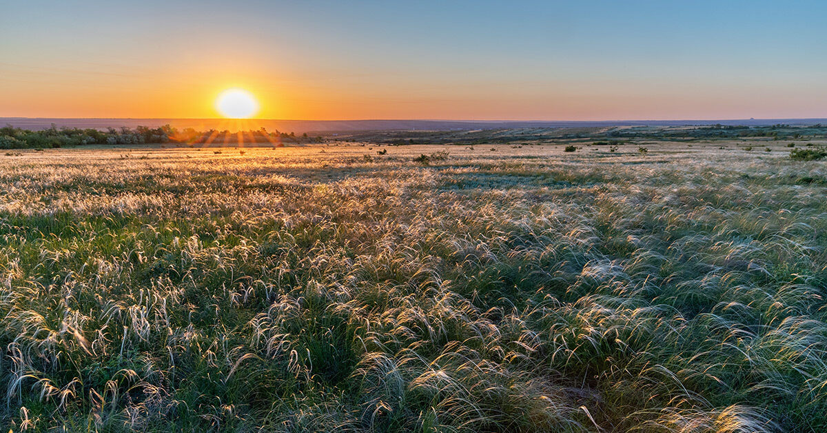 Platonovka Steppe Reserve — 2