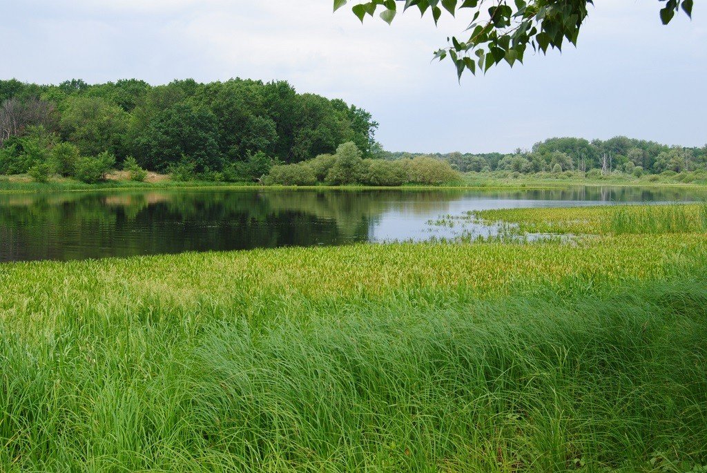 Khoper Biosphere Reserve — 2