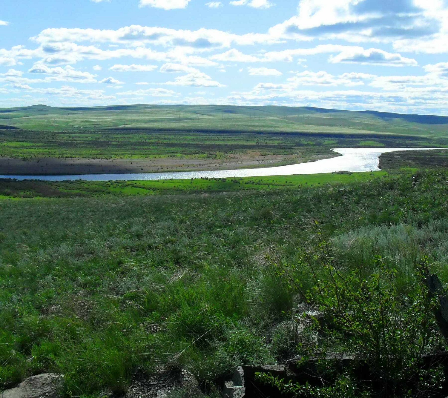 Onon River Valley — 2