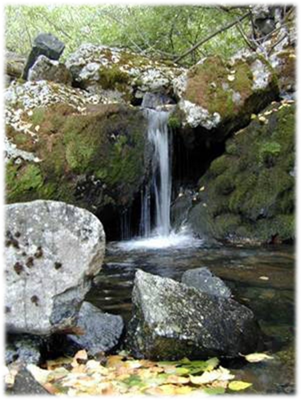 Ushakovsky Spring — 2